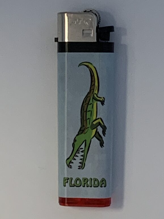 Gator Florida Disposable Lighters - in 50 pc. Display